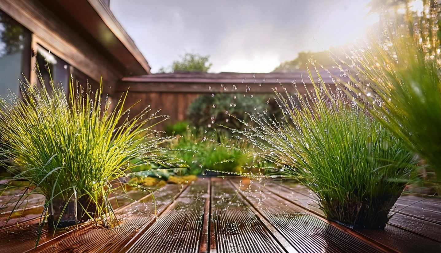 Nahaufnahme von Holzplanken in einem Garten